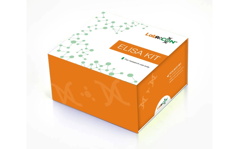Lablisa® MF-Human IL-6(Interleukin 6) ELISA Kit