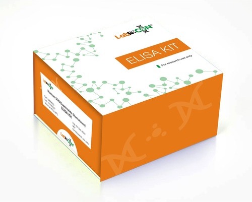 Lablisa® Rat TSH(Thyroid Stimulating Hormone) ELISA Kit